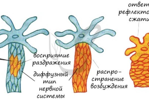 Кракен ат сайт