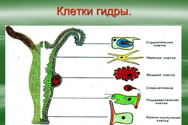 Как пополнить кошелек кракена